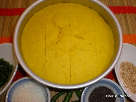 Nylon Dhokla